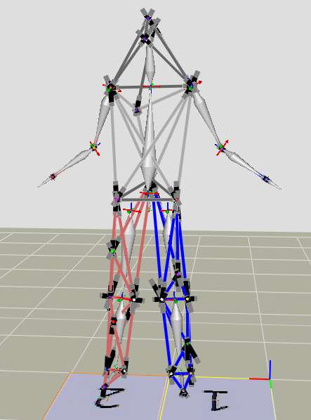 Cortex 10, Motion Capture Analysis Software