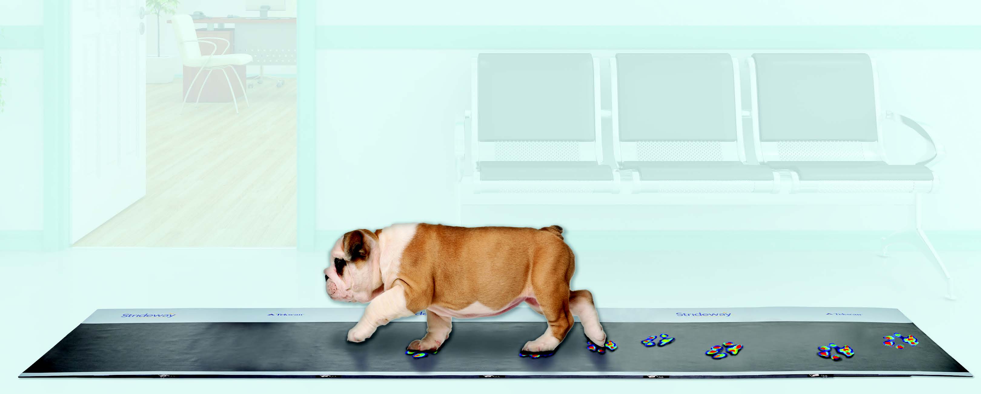 Strideway Animal Gait Analysis System, Pressure Measurement Platform